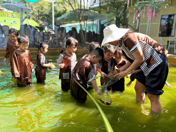 Tổ chức cho trẻ trải nghiệm tại T&T Happy Farm 